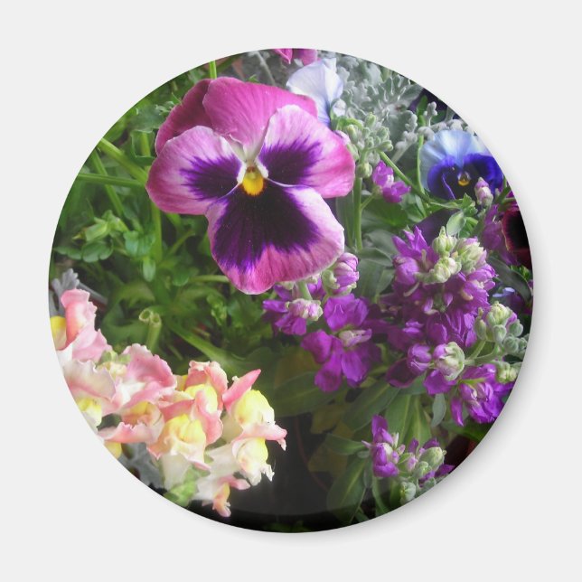 Pansy et amis Magnet (Devant)
