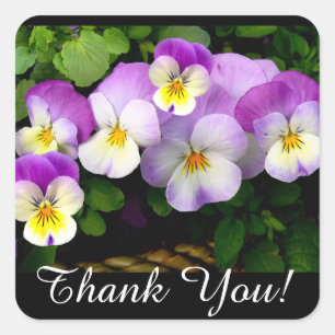 PANSY "Merci !" Autocollants