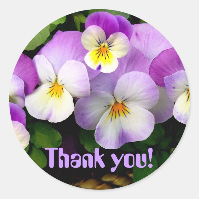 PANSY "Merci !" Autocollants (Devant)