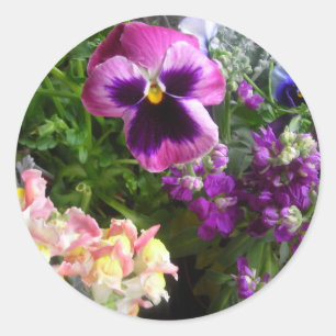 PANSY N AMIS STICKERS