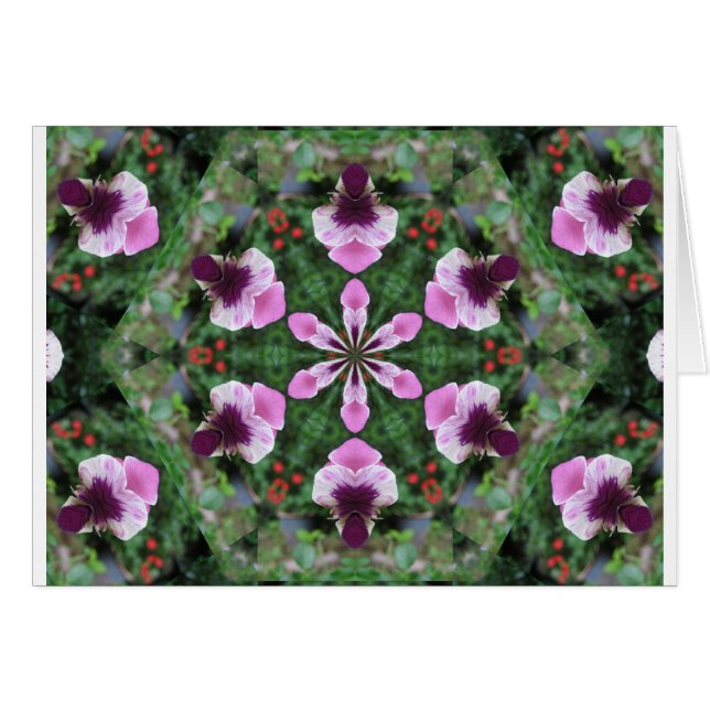 Pansy rose (Devant horizontal)