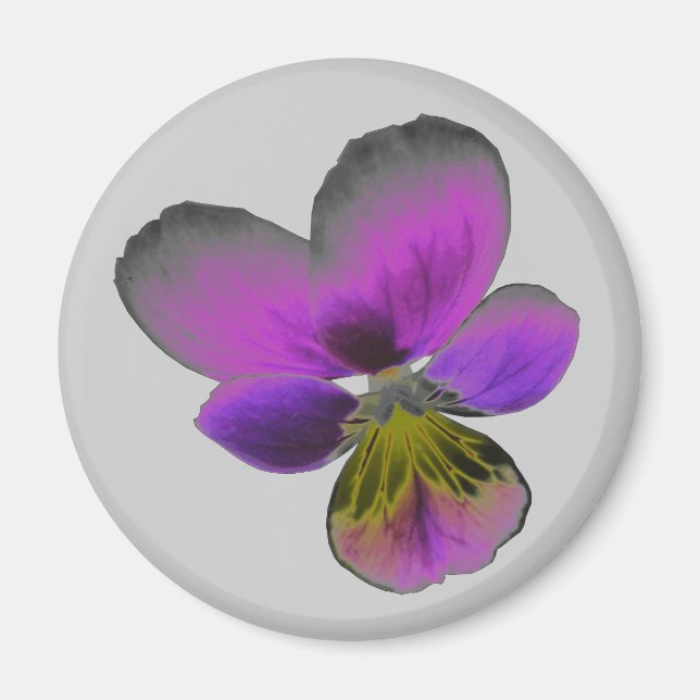 Pansy Wild Dark Purple Magnet (Devant)