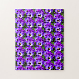 Pansy's Passion Puzzle Bonne chance !