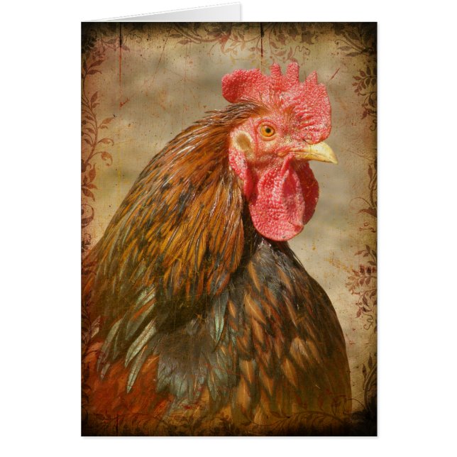 Pantalon élégant (Devant)