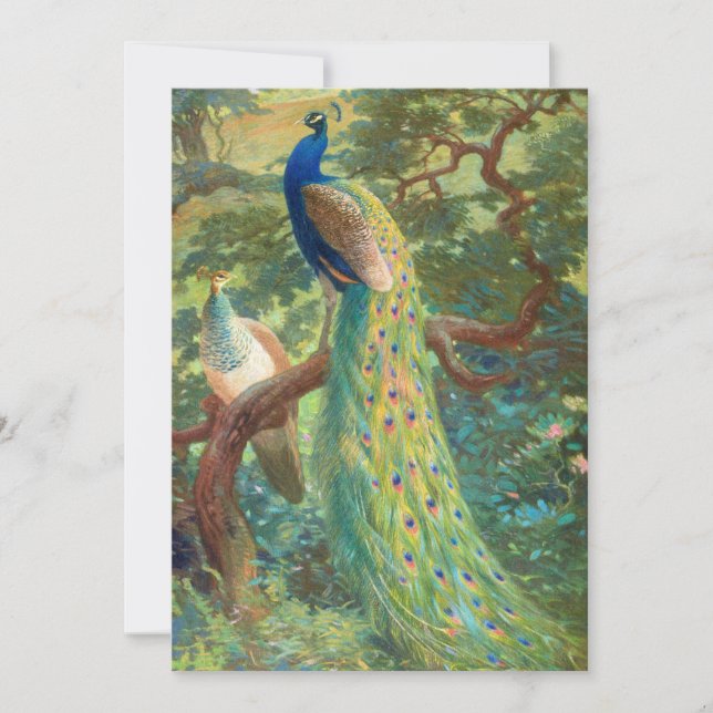 Paon indien | Charles Robert Knight (Devant)