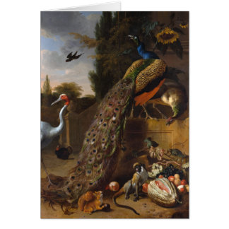 Paons - d Hondecoeter de Melchior