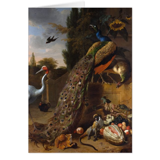 Paons - d Hondecoeter de Melchior (Devant)