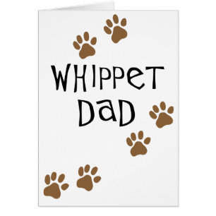 Papa de whippet pour des papas de chien de whippet