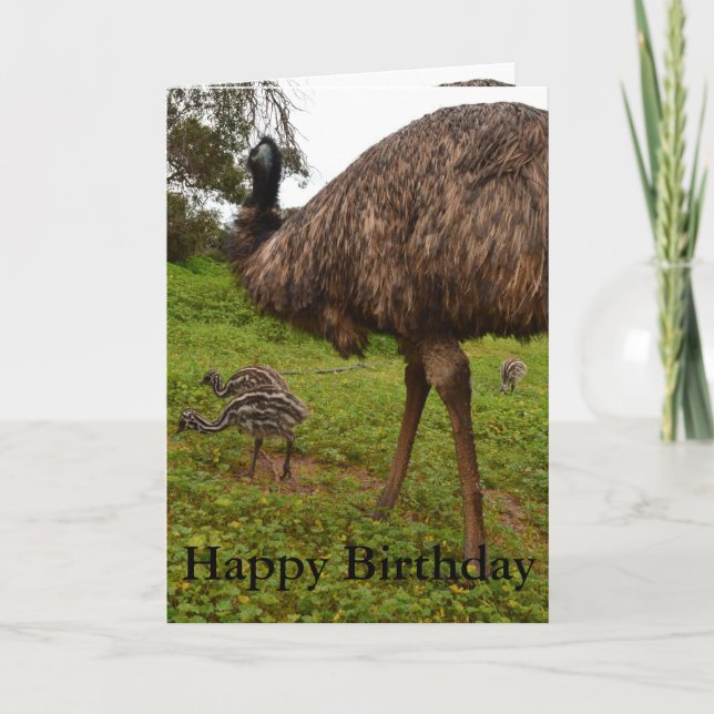 Papa Et Bébé Emu Chicks, Carte De Voeux Anniversai (Devant)