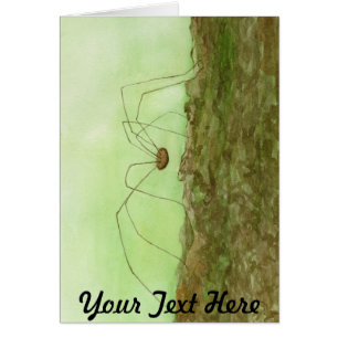 Papa Long Jambes