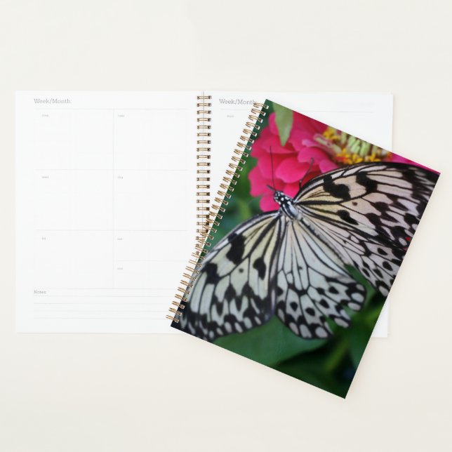 Paperkite papillon (Devant avec enveloppe)
