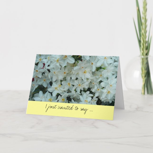 Paperwhite Narcissus Merci (Devant)