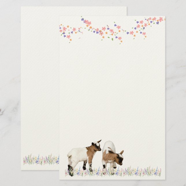 PAPETERIE 花とかわいい子ヤギ♡ (Devant / Derrière)