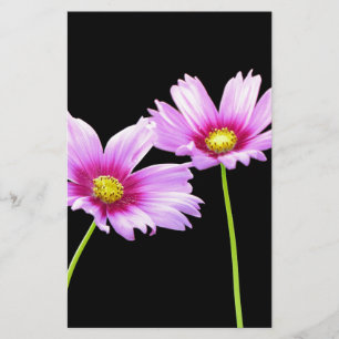 Papeterie 2 Cosmos