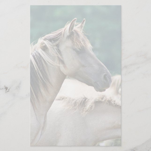 Papeterie A herd of Brumby Horses from Australie (Devant)