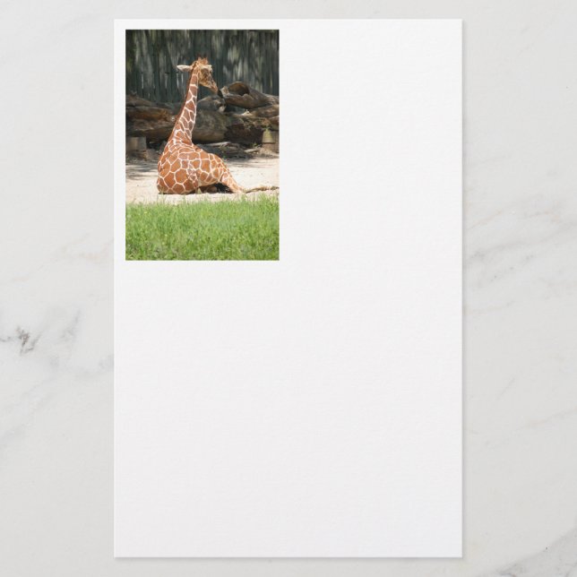 Papeterie adorable Giraffe assise (Devant)