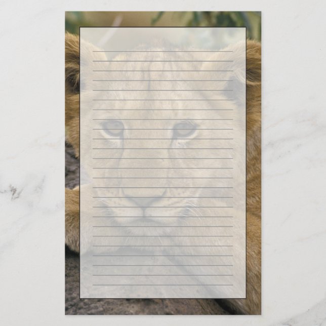 Papeterie Afrique, Kenya. Portrait d'un lion. (Devant)