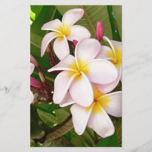 Papeterie Aloha Fleurs de frangipanier hawaïennes Plumerias