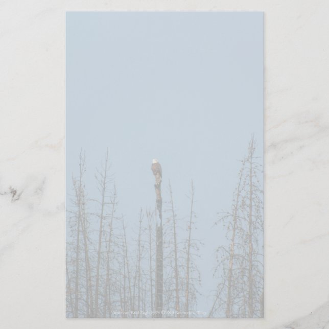Papeterie American Bald Eagle 8974 (Devant)