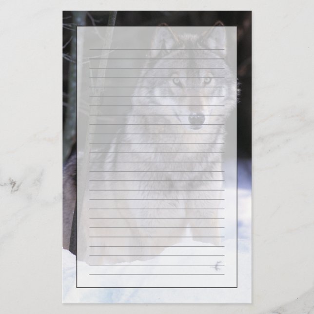 Papeterie Amérique du Nord, Canada, Est du Canada, Loup gris (Devant)