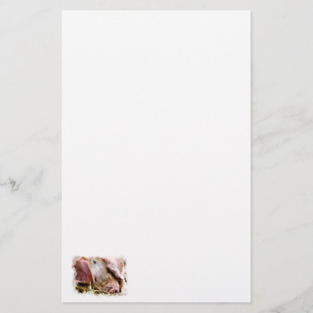 PAPETERIE ANIMAUX AGRICOLES, PIGS