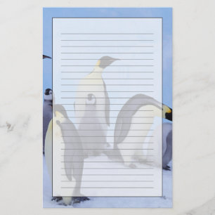 Papeterie Antarctique, Manchots empereurs