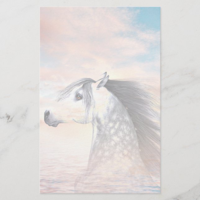 Papeterie Appaloosa (Devant)