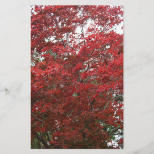Papeterie Arbre aux feuilles rouges d'automne