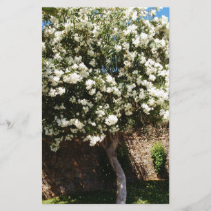 Papeterie Arbre de jasmin en fleur