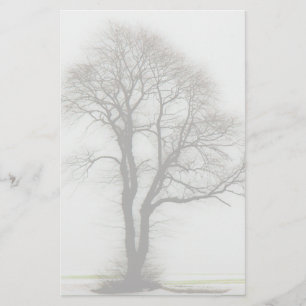 Papeterie Arbre d'hiver doux