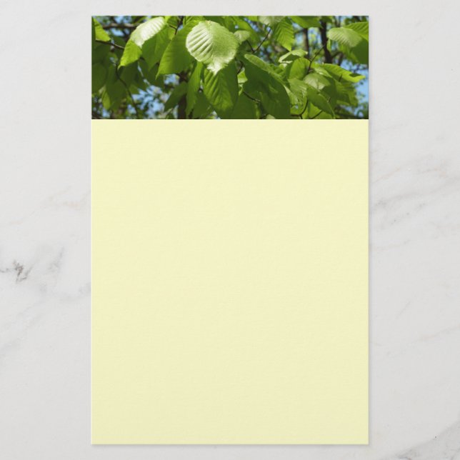 Papeterie Arbre vert Feuille à bouleau printanier (Devant)