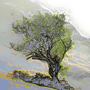 PAPETERIE ARBRES