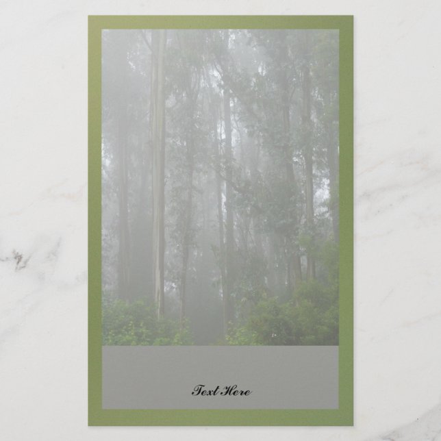 Papeterie Arbres brumeux (Devant)