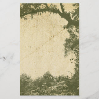 Papeterie Arrière - plan vintage d'arbre
