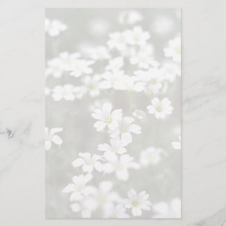 Papeterie aux fleurs blanches
