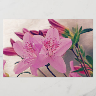 Papeterie Azaleas