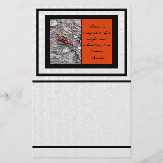 Papeterie Baisers de coccinelle (Devant)