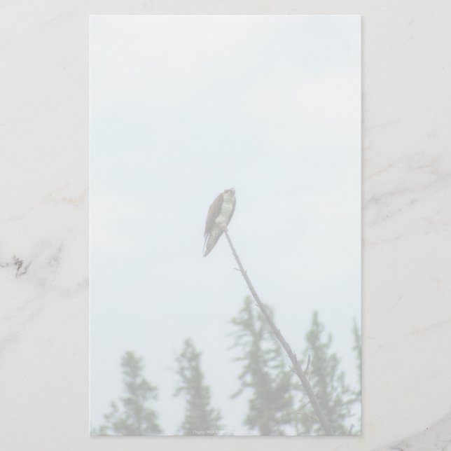 Papeterie Balbuzard pêcheur 9028 (Devant)