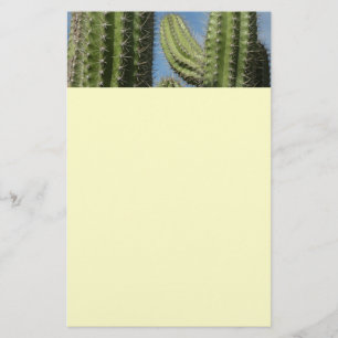 Papeterie Barrel Cactus I Desert Photo