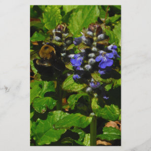 Papeterie Baume d'abeille pourpre et bourdon