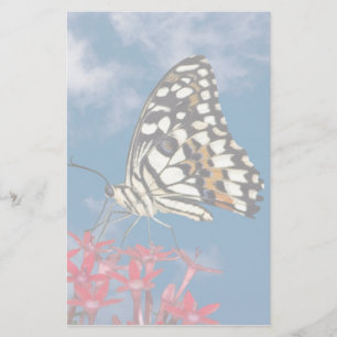 Papeterie Beau Papillon