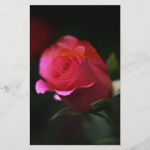Papeterie Belle Rose Rouge