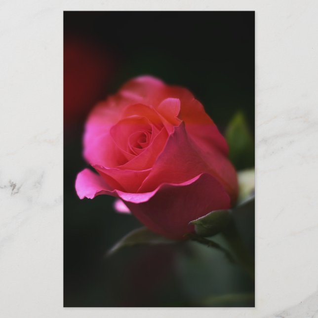 Papeterie Belle Rose Rouge (Devant)