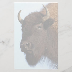Papeterie bison