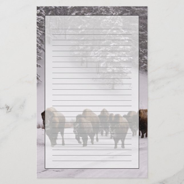 Papeterie Bison en hiver (Devant)