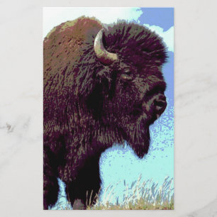 Papeterie Bison Pop Art