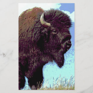 Papeterie Bison Pop Art