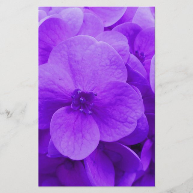 Papeterie Bleu violet Hydrangea (Devant)