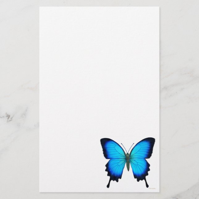Papeterie bleue de papillon d'Ulysse (Devant)