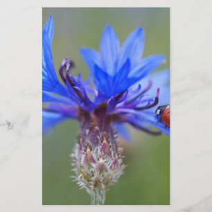 Papeterie Blue Blossoms Ladybug Peace Love Destiny Art Vine